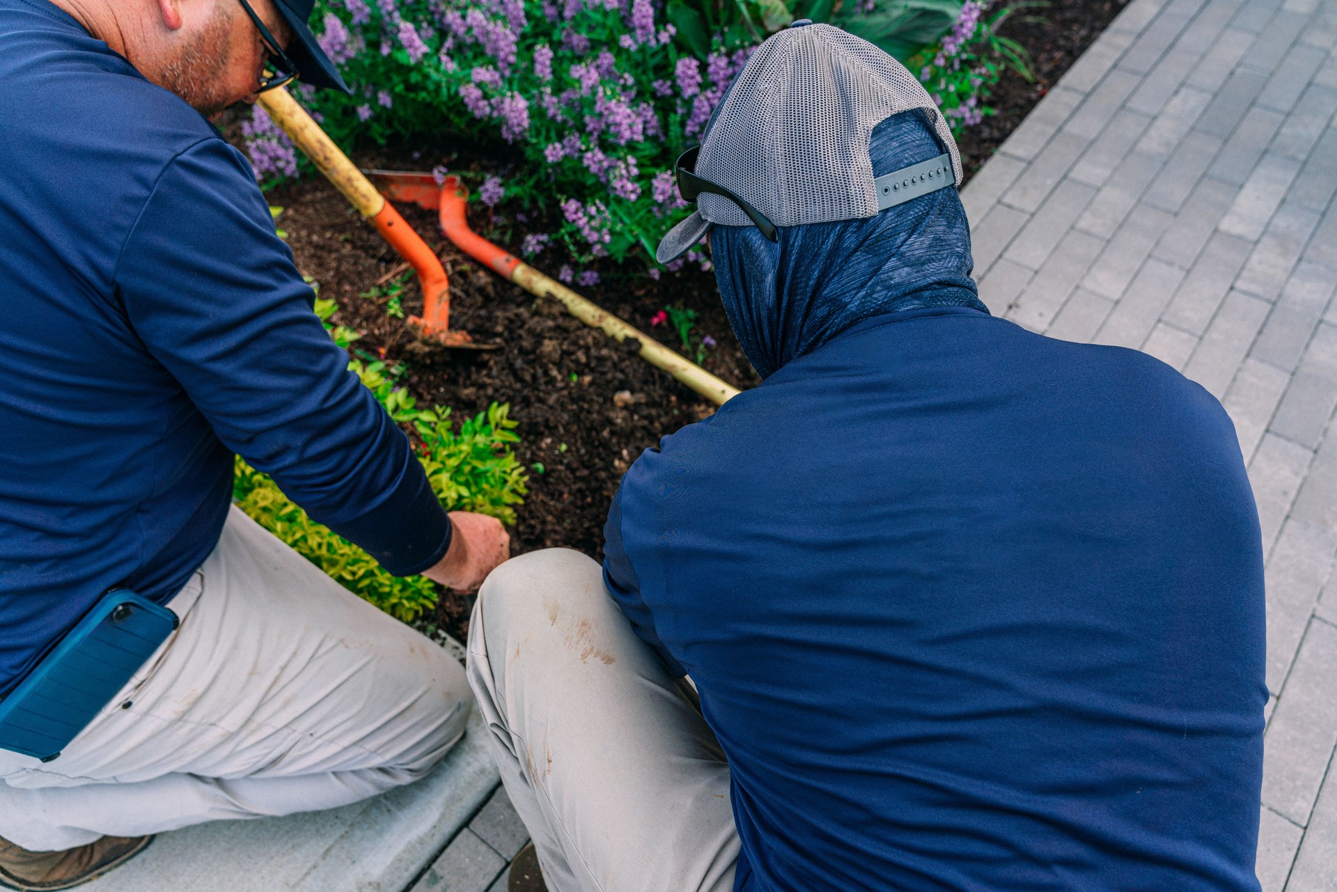 Two Workers with Blank-Back Work Shirts Digging in Soil to Replace a Flower Bed Sprinkler